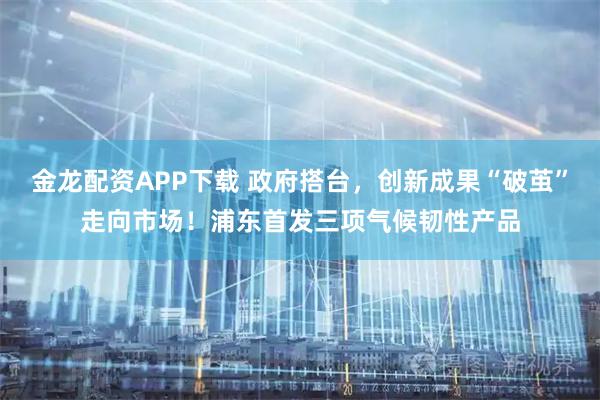 金龙配资APP下载 政府搭台，创新成果“破茧”走向市场！浦东首发三项气候韧性产品